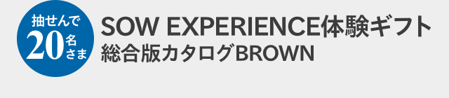 抽せんで20名さま SOW EXPERIENCE体験ギフト総合版カタログBROWN