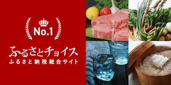 No.1 ふるさとチョイス ふるさと納税総合サイト