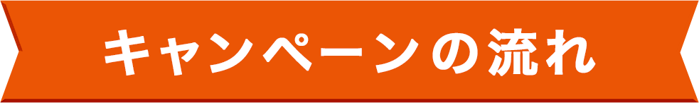 キャンペーンの流れ