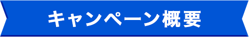 キャンペーン概要