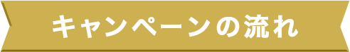 キャンペーンの流れ