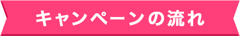 キャンペーンの流れ
