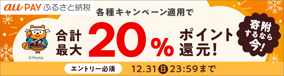 【合計最大20％ポイント還元】au PAY ふるさと納税　冬の大感謝祭