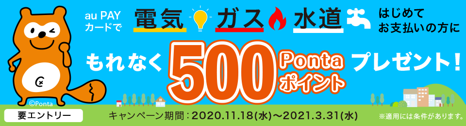 電気・ガス・水道支払いでおトク！500Pontaポイントプレゼント！