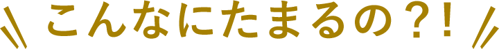 こんなにたまるの？!