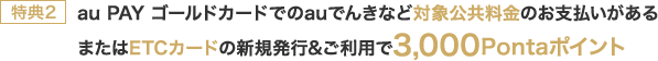 特典2 au PAY ゴールドカードでのauでんきなど対象公共料金のお支払いがあるまたはETCカードの新規発行&ご利用で3,000Pontaポイント