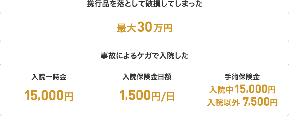 スタンダード傷害保険 補償例