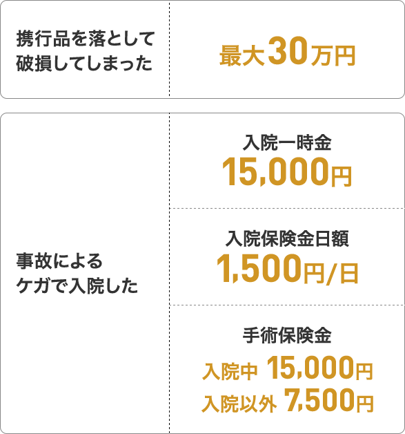 スタンダード傷害保険 補償例