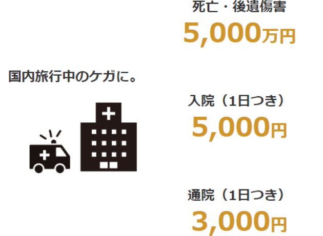 国内旅行あんしん保険 補償例