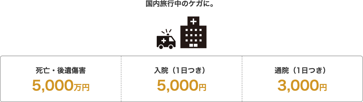 国内旅行あんしん保険 補償例