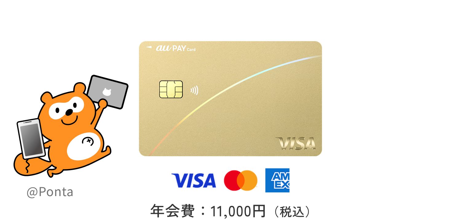 VISA 年会費:11,000円(税込)