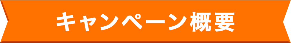 キャンペーン概要